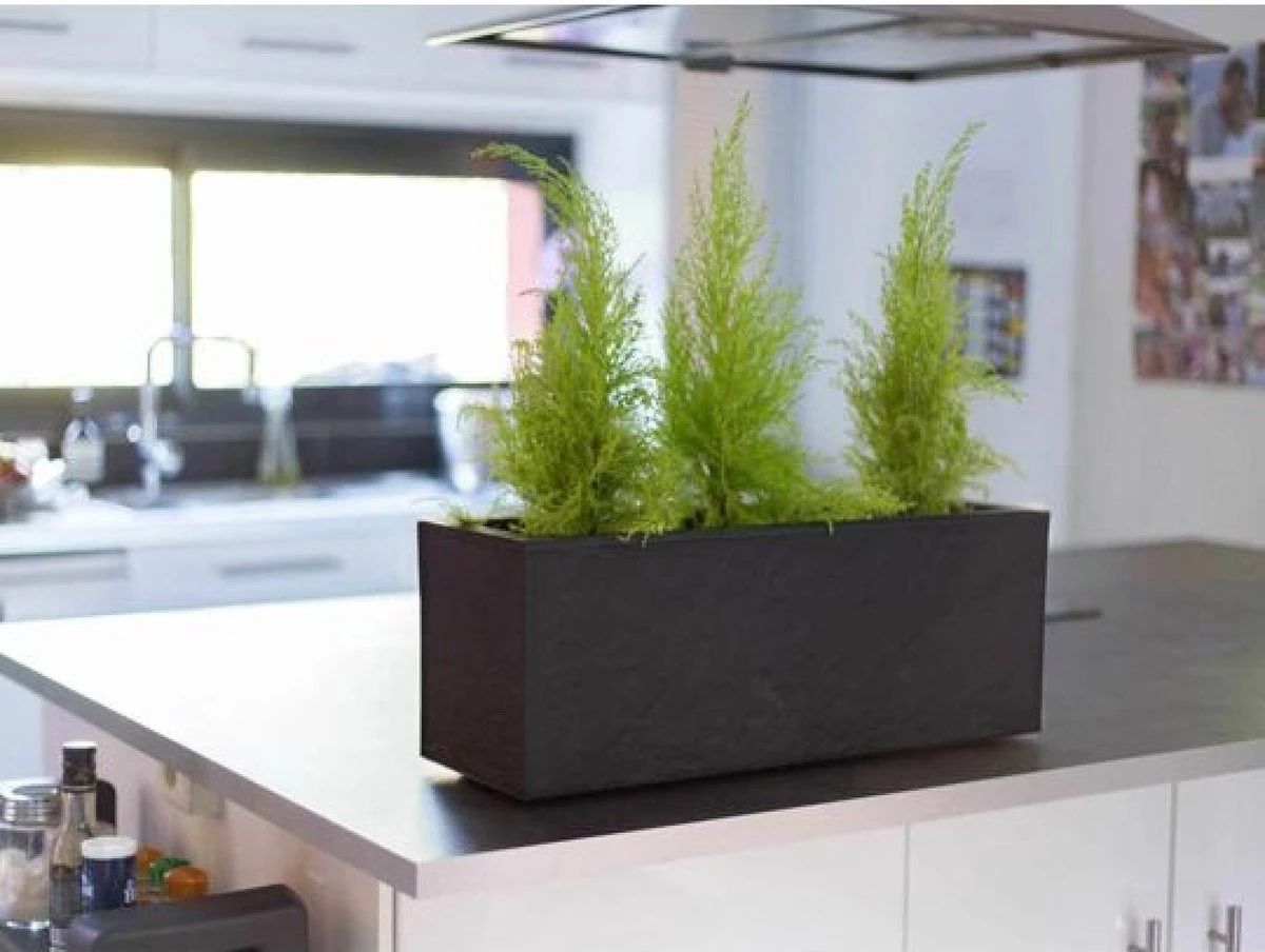 EDA Plantenbak - Bloembak - 25L - 59 x 19,5 x 22,8 cm - Antraciet EDA Plantenbak - Bloembak - 25L - 59 X 19,5 X 22,8 Cm - Antraciet -Tuinverzorgings Winkel 1200x904 5