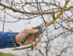 GARDENA - ExpertCut - Snoeischaar - 22 Diameter Tak 4 GARDENA - ExpertCut - Snoeischaar - 22 Diameter Tak -Tuinverzorgings Winkel 1200x929