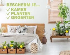 Merkloos Rouwvliegjes Bestrijden - Fruitvliegjes Vanger - Vliegenvanger - 24 Stuks -Tuinverzorgings Winkel 1200x939 3