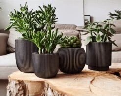 Capi Europe - Set Van 4 - Bloempot Binnen - Groove - Antraciet -Tuinverzorgings Winkel 1200x953 2