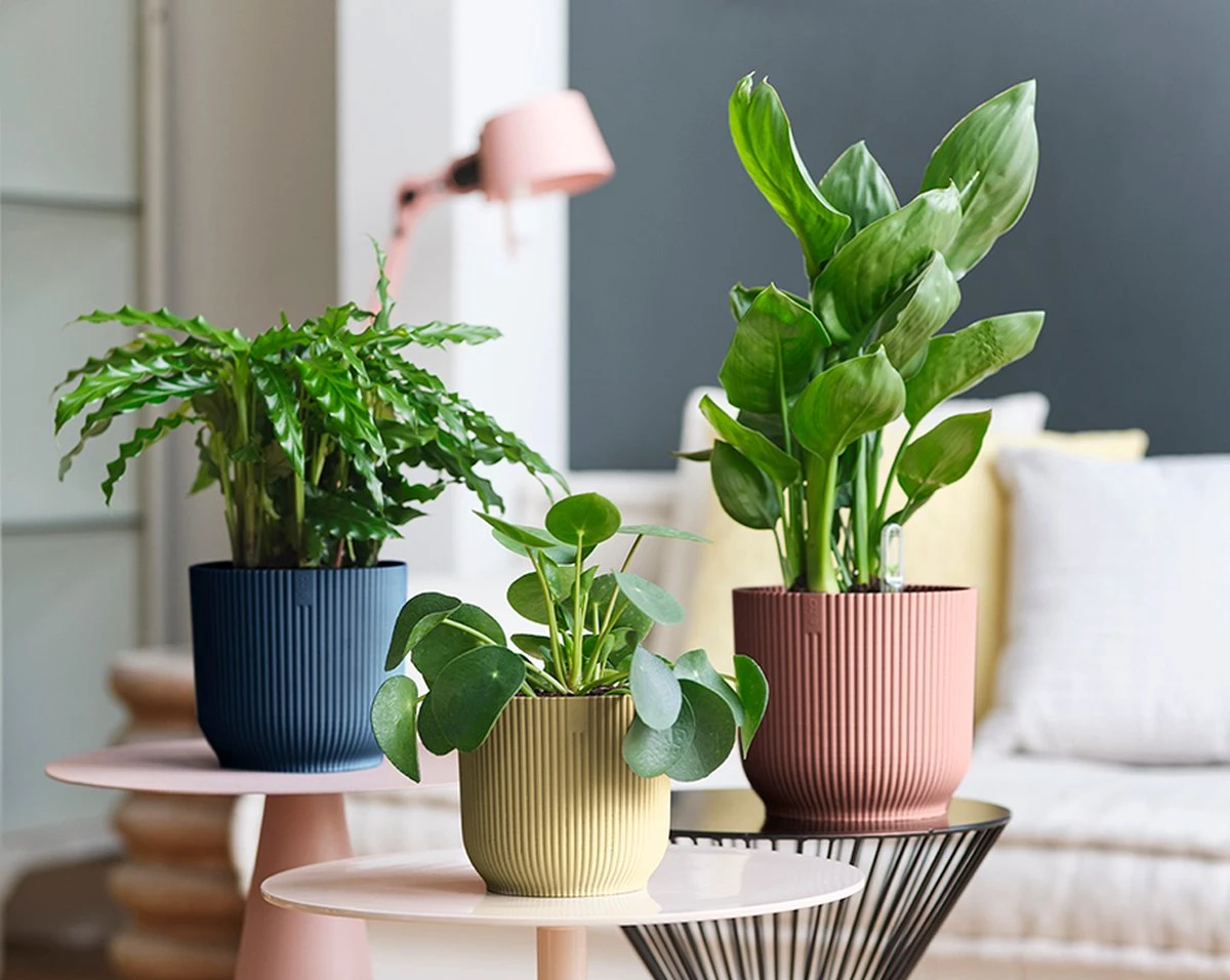 Elho Vibes Fold Rond 22 - Bloempot voor Binnen - Ø 22.0 x H 20.2 cm - Diepblauw Elho Vibes Fold Rond 22 - Bloempot Voor Binnen - Ø 22.0 X H 20.2 Cm - Diepblauw -Tuinverzorgings Winkel 1200x956 2