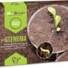Stenema 100m² | Aaltjes Tegen Rouwvliegjes | Tegen Larven Van Rouwvliegen | Rouwvliegjes Bestrijden | Varenrouwmuggen | In Planten | 100% Natuurlijke Biologische Bestrijding -Tuinverzorgings Winkel 1200x969 2