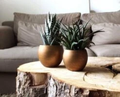 Capi Europe - Vaas Bol Retro - 30x25 - Goud - Bloempot Voor Binnen - BRTG104 -Tuinverzorgings Winkel 1200x970 10