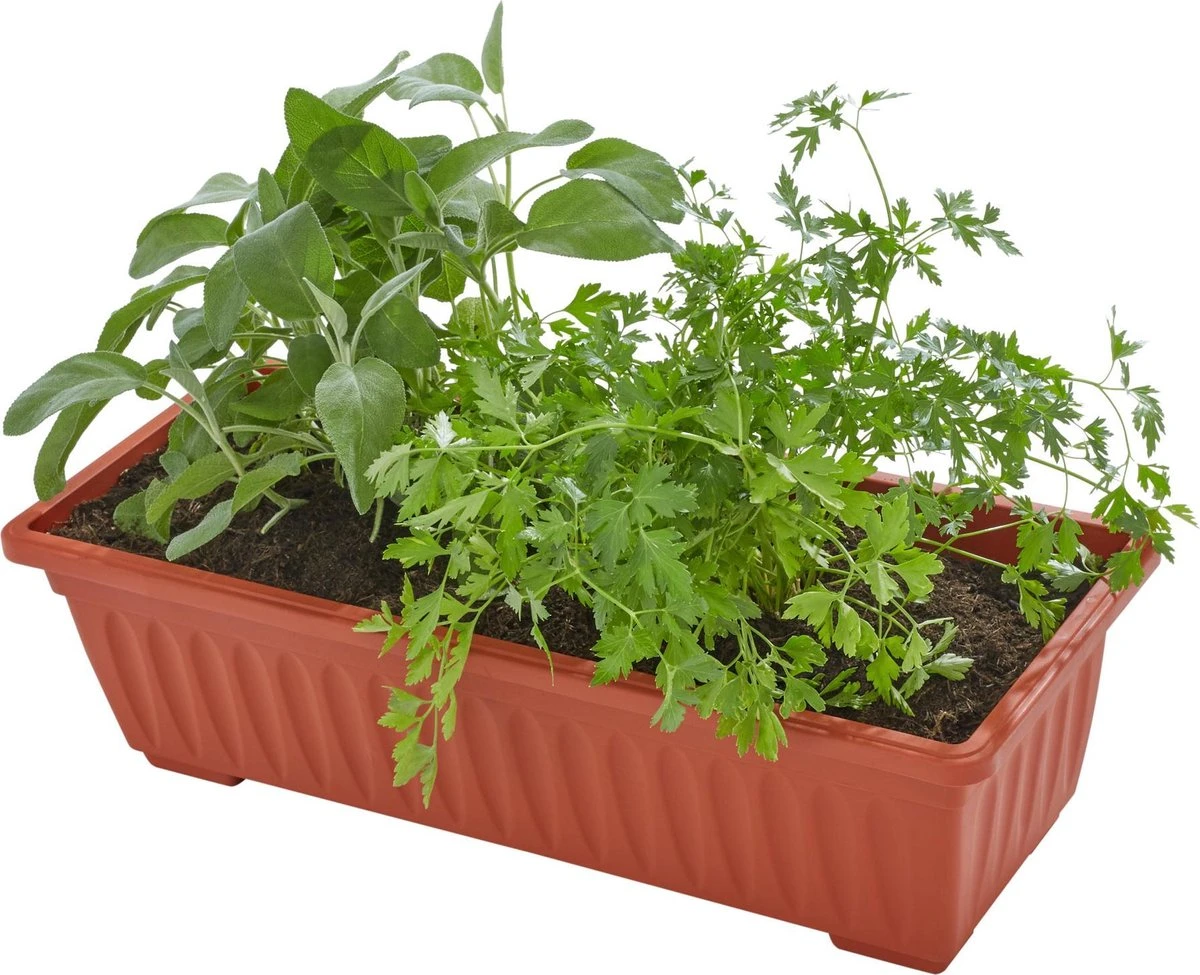 tectake - Verticaal plantenrek met 4 bakken - 403445 Tectake - Verticaal Plantenrek Met 4 Bakken - 403445 -Tuinverzorgings Winkel 1200x975 4