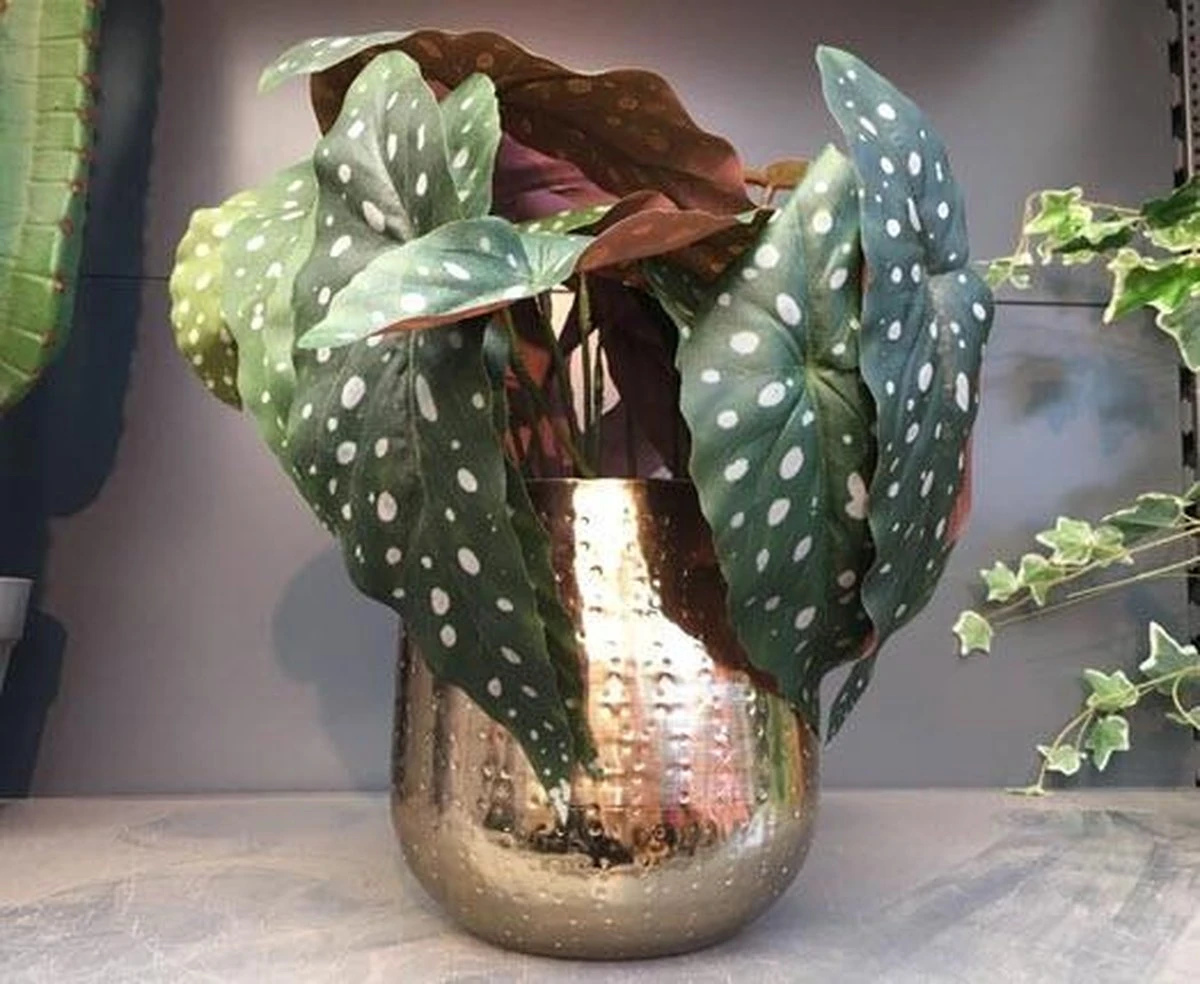 Gina Da bloempot Karakter goud - XL Gina Da Bloempot Karakter Goud - XL -Tuinverzorgings Winkel 1200x984 1