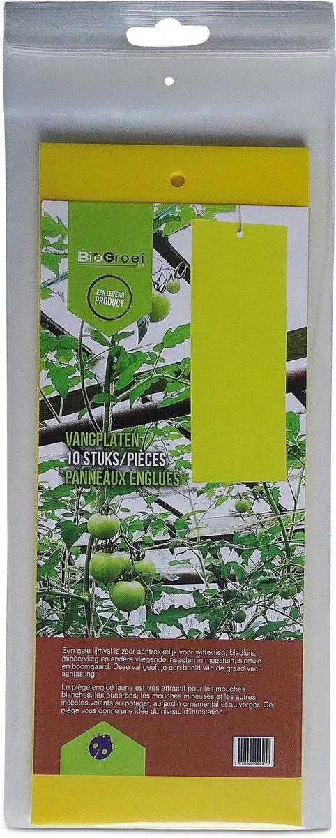 Biogroei Gele vangplaten - Ongedierteval - 10 stuks - 10cmx25cm - tegen rouwvliegjes, trips, witte vlieg en vliegende bladluis Biogroei Gele Vangplaten - Ongedierteval - 10 Stuks - 10cmx25cm - Tegen Rouwvliegjes, Trips, Witte Vlieg En Vliegende Bladluis -Tuinverzorgings Winkel 482x1200 2