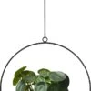 QUVIO Bloempot Hangend / Bloempotten Voor Binnen / Bloempotten / Bloempot Binnen / Bloempot Met Ophanghaak - Metaal -Tuinverzorgings Winkel 611x1200 4