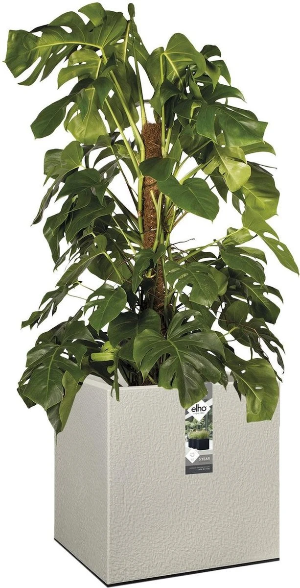 Elho Vivo Structure Finish Vierkant 40 - Plantenbak voor Binnen & buiten - Ø 39 x H 41 - Grijs/Warm Grijs Elho Vivo Structure Finish Vierkant 40 - Plantenbak Voor Binnen & Buiten - Ø 39 X H 41 - Grijs/Warm Grijs -Tuinverzorgings Winkel 613x1200 6