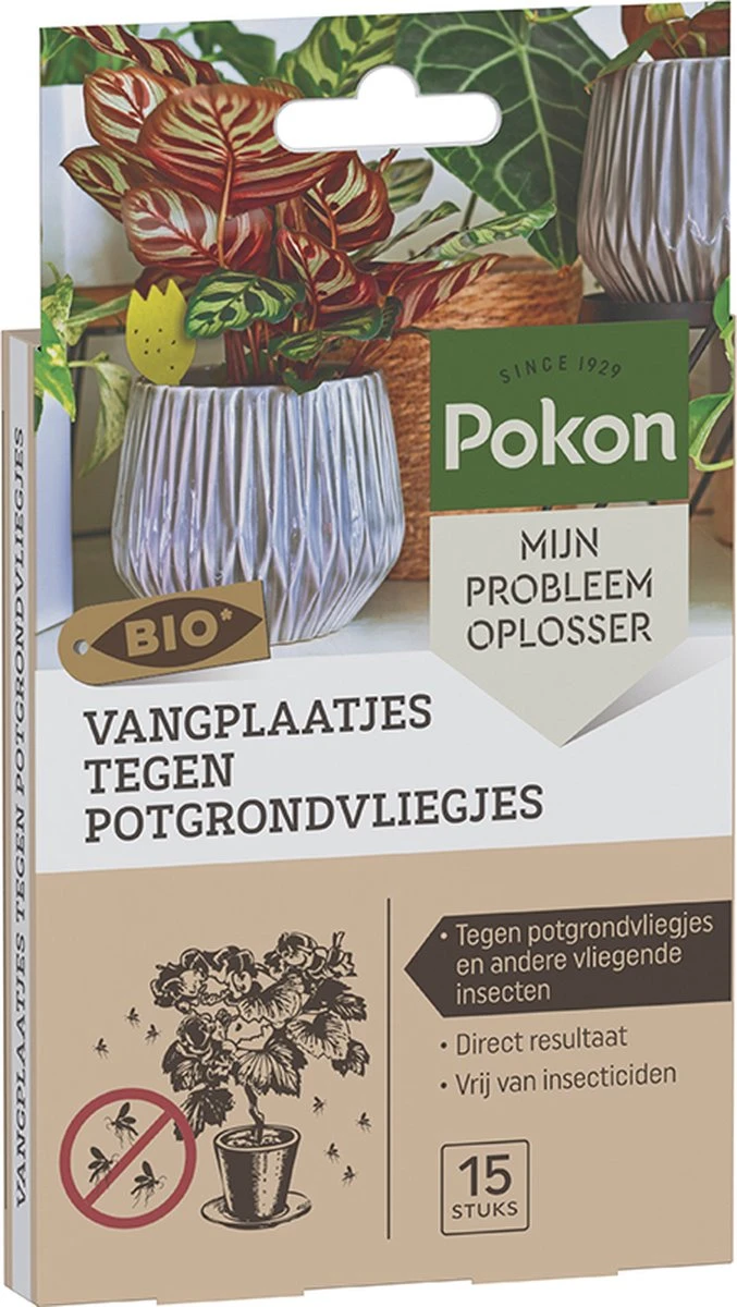 Pokon Bio Vangplaatjes tegen Potgrondvliegjes - 15 stuks - 1 vangplaatje per plant - Vrij van pesticiden - Rouwvliegjes bestrijden Pokon Bio Vangplaatjes Tegen Potgrondvliegjes - 15 Stuks - 1 Vangplaatje Per Plant - Vrij Van Pesticiden - Rouwvliegjes Bestrijden -Tuinverzorgings Winkel 677x1200 1