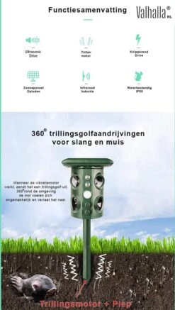 Valhalla NL - Kattenverjager - Ongedierte Verjager - Outdoor - Kunststof - Groen - 16x13x11 Cm 5 Valhalla NL - Kattenverjager - Ongedierte Verjager - Outdoor - Kunststof - Groen - 16x13x11 Cm -Tuinverzorgings Winkel 679x1200 1