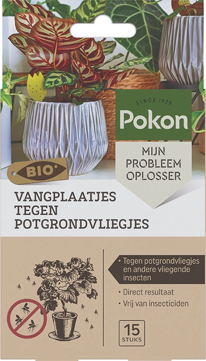 Pokon Bio Vangplaatjes tegen Potgrondvliegjes - 15 stuks - 1 vangplaatje per plant - Vrij van pesticiden - Rouwvliegjes bestrijden Pokon Bio Vangplaatjes Tegen Potgrondvliegjes - 15 Stuks - 1 Vangplaatje Per Plant - Vrij Van Pesticiden - Rouwvliegjes Bestrijden -Tuinverzorgings Winkel 687x1200 2