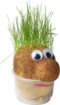 Mr. Bart | Graspop | Graspoppetje | Grow Your Own Gras | Wie Kent Hem Niet | Vensterbank | Graszaad | Cadeau | -Tuinverzorgings Winkel 687x1200 4
