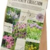 Bloembollen | 50 Stuks - Mix | Butterfly Collection -Tuinverzorgings Winkel 688x1200 2