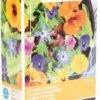 Buzzy® Friendly Flowers - Zadenmengsel - Eetbare Bloemen 15m² -Tuinverzorgings Winkel 692x1200