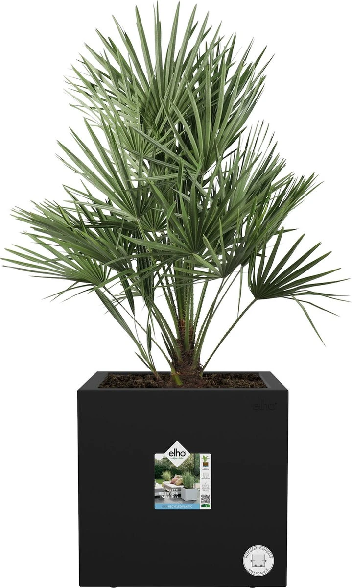 Elho Vivo Next Vierkant 40 - Plantenbak voor Binnen & buiten - Ø 39.0 x H 37.9 cm - Zwart/Living Black Elho Vivo Next Vierkant 40 - Plantenbak Voor Binnen & Buiten - Ø 39.0 X H 37.9 Cm - Zwart/Living Black -Tuinverzorgings Winkel 719x1200 5