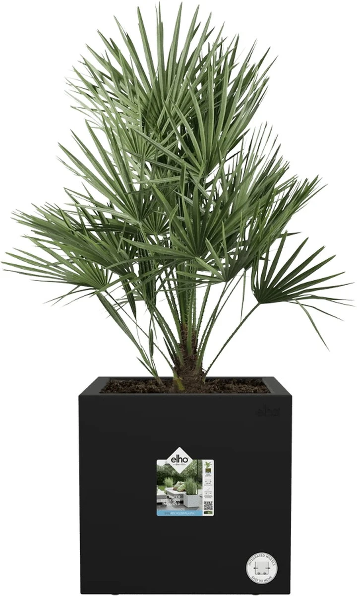 Elho Vivo Next Vierkant 30 - Plantenbak voor Binnen & Buiten - Ø 29.5 x H 29.5 cm - Zwart/Living Black Elho Vivo Next Vierkant 30 - Plantenbak Voor Binnen & Buiten - Ø 29.5 X H 29.5 Cm - Zwart/Living Black -Tuinverzorgings Winkel 720x1200 2