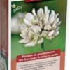 Buzzy® Groenbemester Witte Klaver - 100 Gram