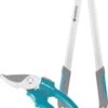 Gardena EasyCut Takkenschaar 68B + Classic Snoeischaar 8754 Display 1stuk 12003-30 1 Gardena EasyCut Takkenschaar 68B + Classic Snoeischaar 8754 Display 1stuk 12003-30 -Tuinverzorgings Winkel 732x1200 1