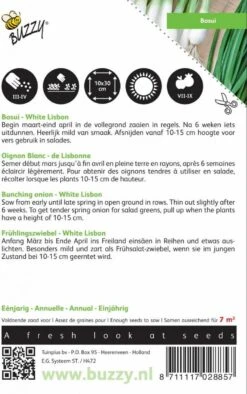 Buzzy Zaden - Bosuien White Lisbon (Allium) -Tuinverzorgings Winkel 752x1200 2