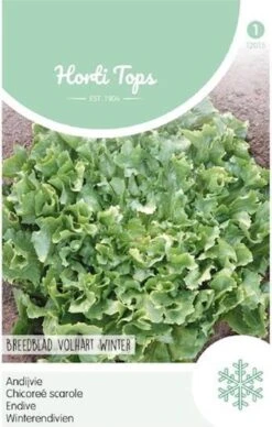 Hortitops Zaden - Andijvie Breedblad Volhart Winter