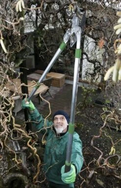 Telescopische Takkenschaar, 6-voudig -Tuinverzorgings Winkel 775x1200