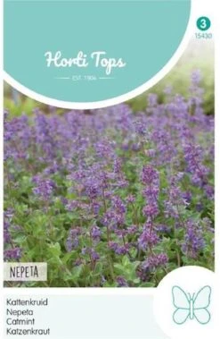 Hortitops - Kattekruid Bloemzaad - Nepeta Mussinii