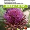 Sluis Garden - Kardoen BIO (Cynara Cardunculus) 2 Sluis Garden - Kardoen BIO (Cynara Cardunculus) -Tuinverzorgings Winkel 784x1200 2