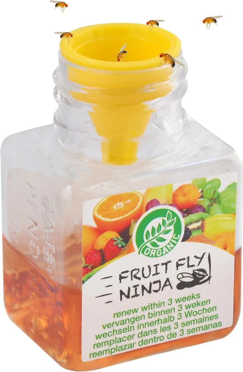 Super Ninja - Fruit Fly Ninja® - Fruitvliegjes vanger - 100% natuurlijk en Milieu verantwoordelijk - 12 Pack Super Ninja - Fruit Fly Ninja® - Fruitvliegjes Vanger - 100% Natuurlijk En Milieu Verantwoordelijk - 12 Pack -Tuinverzorgings Winkel 785x1200 2