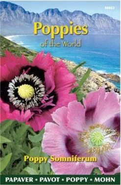 Buzzy® Poppies Of The World - Papaver Slaapbol -Tuinverzorgings Winkel 786x1200 3