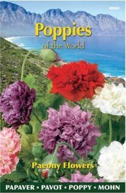 Buzzy® Poppies Of The World - Papaver Pioenbloemig -Tuinverzorgings Winkel 786x1200 4
