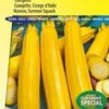 Sluis Garden - Courgette Soleil F1 -Tuinverzorgings Winkel 793x1200