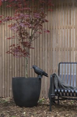 Capi Europe - Bloempot Bol Smooth NL - 54x52 - Zwart - Voor Binnen En Buiten - KBL935 -Tuinverzorgings Winkel 793x1200 3