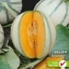Sluis Garden - Meloen Artemis F1 (Charentais Type) 1 Sluis Garden - Meloen Artemis F1 (Charentais Type) -Tuinverzorgings Winkel 794x1200 1