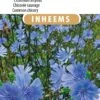 Sluis Garden - Inheemse Bloemenzaden - Wilde Cichorei - Geproduceerd In Nederland 1 Sluis Garden - Inheemse Bloemenzaden - Wilde Cichorei - Geproduceerd In Nederland -Tuinverzorgings Winkel 795x1200 10