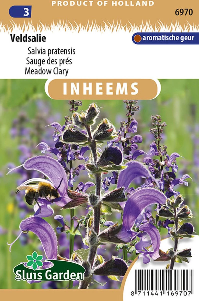 Sluis garden - Inheemse bloemenzaden - Veldsalie - Salvia pratensis - geproduceerd in Nederland Sluis Garden - Inheemse Bloemenzaden - Veldsalie - Salvia Pratensis - Geproduceerd In Nederland -Tuinverzorgings Winkel 795x1200 7