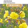Sluis Garden - Inheemse Bloemenzaden - Middelste Teunisbloem - Geproduceerd In Nederland -Tuinverzorgings Winkel 795x1200 8