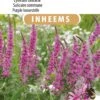 Sluis Garden - Inheemse Bloemenzaden - Grote Kattenstaart - Geproduceerd In Nederland 2 Sluis Garden - Inheemse Bloemenzaden - Grote Kattenstaart - Geproduceerd In Nederland -Tuinverzorgings Winkel 795x1200 9