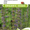 Sluis Garden - Hysop Biologisch (Hyssopus Officinalis) -Tuinverzorgings Winkel 796x1200 5