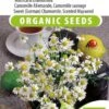 Sluis Garden - Echte Kamille Biologisch (Matricaria Recutita) -Tuinverzorgings Winkel 796x1200 7