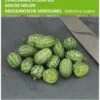 Buzzy Zaden - Cucamelons Muismeloen 15 Zaden -Tuinverzorgings Winkel 798x1200 1