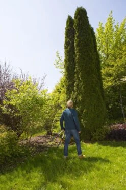 GARDENA TeleCut Heggenschaar - Telescopische Handgrepen Van 70-90 Cm 8 GARDENA TeleCut Heggenschaar - Telescopische Handgrepen Van 70-90 Cm -Tuinverzorgings Winkel 799x1200 33