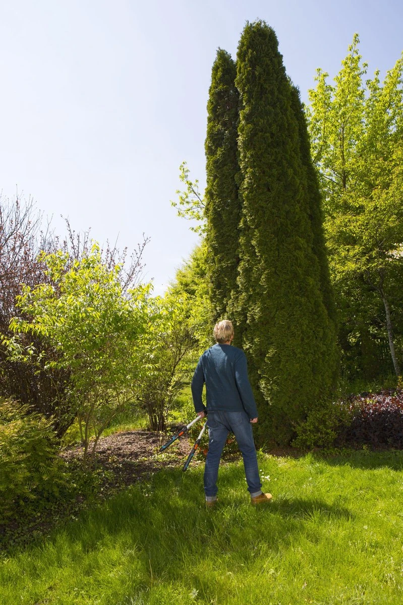 GARDENA TeleCut Heggenschaar - Telescopische handgrepen van 70-90 cm GARDENA TeleCut Heggenschaar - Telescopische Handgrepen Van 70-90 Cm -Tuinverzorgings Winkel 799x1200 33