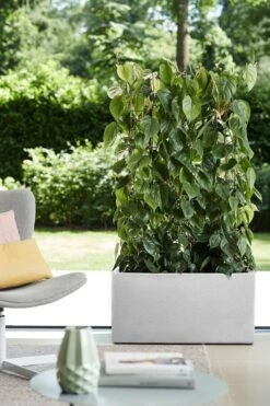 Elho Vivo Structure Finish Lang 90 - Plantenbak Voor Binnen & Buiten - Ø 88 X H 41 - Wit -Tuinverzorgings Winkel 800x1200 128