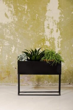 SENZA Rechthoekige Plantenbak - Bloemenbak Ijzer - 42.5 X 34cm - Zwart -Tuinverzorgings Winkel 800x1200 129