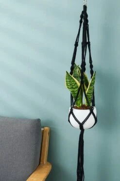 4 Stuks Zwarte Macrame Plantenhangers - Boho Handgeweven Katoen Hangpot Voor Binnen/Buiten - Hangende Bloempot Met Kralen - Macramé Touw/Koord Hangplant Houder - Bohemian Wandhanger Decoratie - Plant Hanger - Verticale Tuin Bloempothouder Planthanger -Tuinverzorgings Winkel 800x1200 132