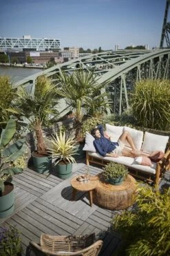 Elho Greenville Rond 30 - Grote Bloempot Voor Buiten - Gemaakt Van Gereycled Plastic - Ø 29.5 X H 27.8 Cm - Blad Groen -Tuinverzorgings Winkel 800x1200 137