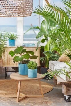 Elho The Ocean Collection Round 22cm - Bloempot Voor Binnen - 100% Gerecycled Materiaal - Gemaakt Met Zeeafval - Ø 22.3 X H 20.4 Cm - Atlantisch Blauw -Tuinverzorgings Winkel 800x1200 139