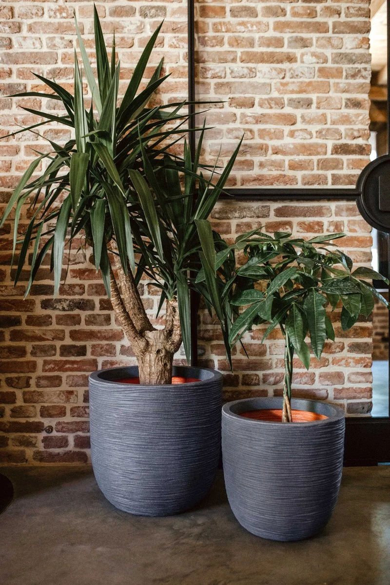 Capi Europe - Bloempot bol Rib NL - 35x34 - Ivoor - Voor binnen en buiten - KOFI932 Capi Europe - Bloempot Bol Rib NL - 35x34 - Ivoor - Voor Binnen En Buiten - KOFI932 -Tuinverzorgings Winkel 800x1200 152