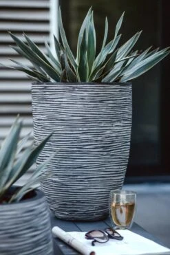 Capi Europe - Vaas Elegant Laag Rib NL - 36x47 - Antraciet - Voor Binnen En Buiten - KOFZ782 5 Capi Europe - Vaas Elegant Laag Rib NL - 36x47 - Antraciet - Voor Binnen En Buiten - KOFZ782 -Tuinverzorgings Winkel 800x1200 155