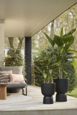 Elho Pure Coupe 35 - Bloempot Voor Binnen & Buiten - Ø 34.9 X H 49.0 Cm - Zwart/Zwart -Tuinverzorgings Winkel 800x1200 160